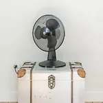Design In Typical Alfama