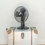 Design In Typical Alfama